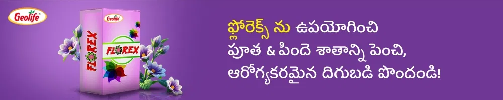 Geolife Vigore Raja Image 2