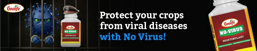 GeoLife No virus Image 2