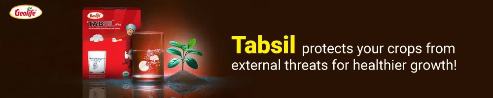 Geolife Tabsil Image 2