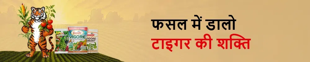 Geolife Bio Fertilizer Image 2