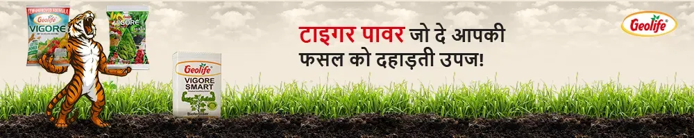Geolife Bio Fertilizer Image 2