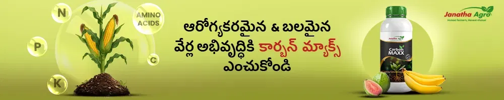 Janatha Carbon Maxx Image 1