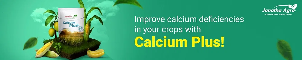 Janatha Calcium Plus Image 1