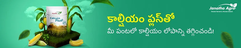 Janatha Calcium Plus Image 1