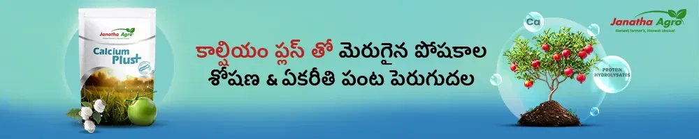 Janatha Agro Calcium Plus Image 1