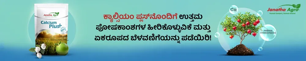 Janatha Calcium Plus Image 1