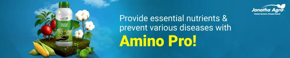 Janatha Amino Pro Image 1