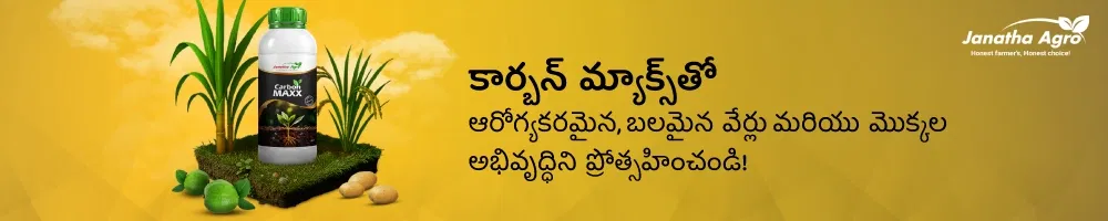 Janatha Carbon Maxx Image 1