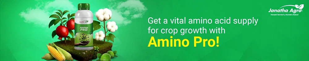 Janatha Amino pro Image 1