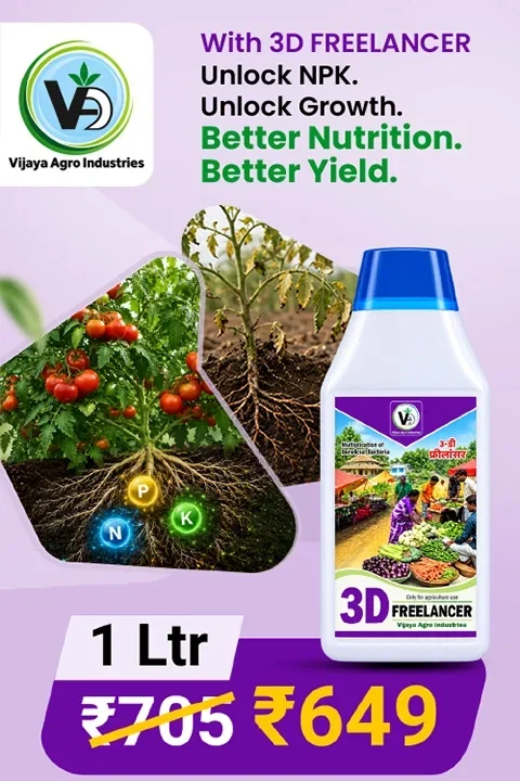Vijaya Agro Brand Campaign