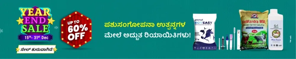 home Banners 0 Image 1