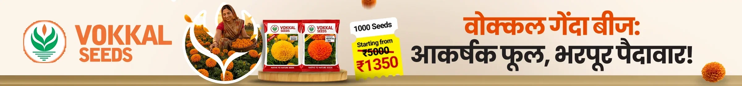 Vokkal Seeds 