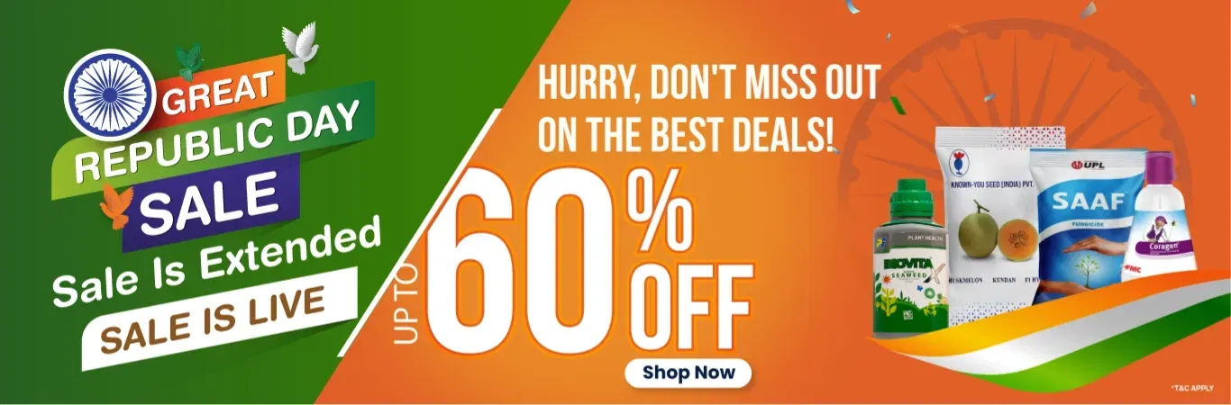 home Banners 0 Image 1