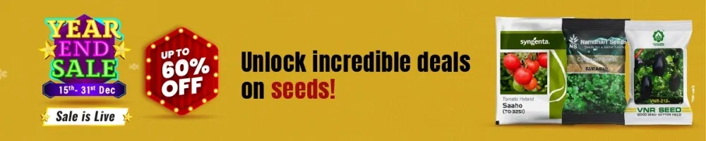 home Banners 0 Image 1