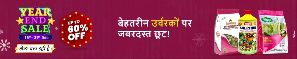 home Banners 0 Image 1