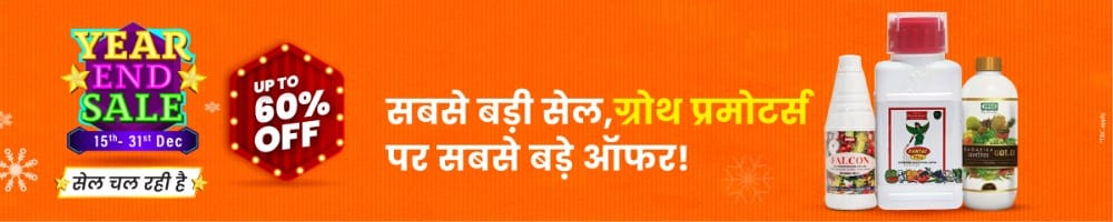 home Banners 0 Image 1