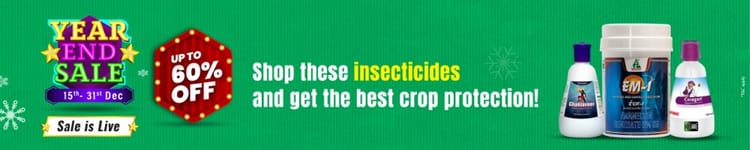 Tychi Insecticide (Tolfenpyrad 15 EC) | Buy Starting Rs 330 | BigHaat