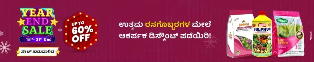 home Banners 0 Image 1