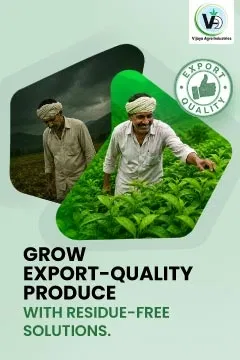 Vijaya Agro Brand Campaign