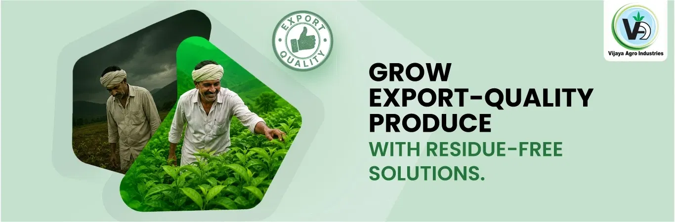 Vijaya Agro Brand Campaign