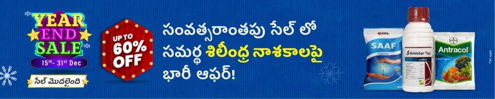 home Banners 0 Image 1