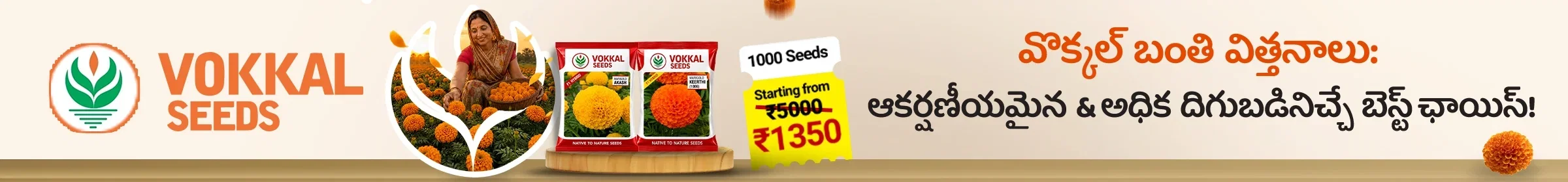 Vokkal Seeds 