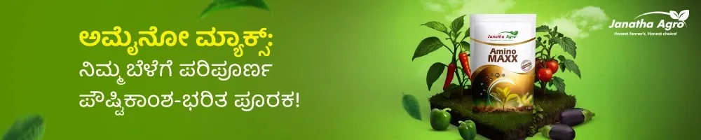 home Banners 0 Image 1