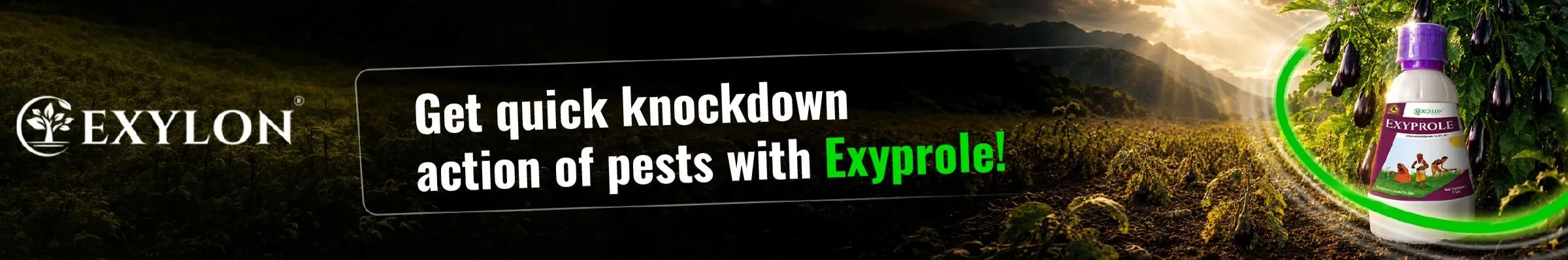 adsterBanner