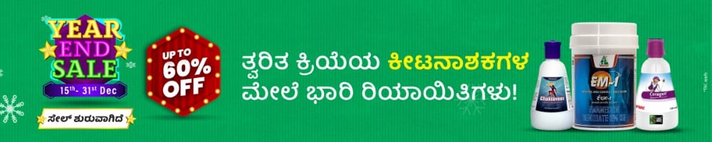 home Banners 0 Image 1