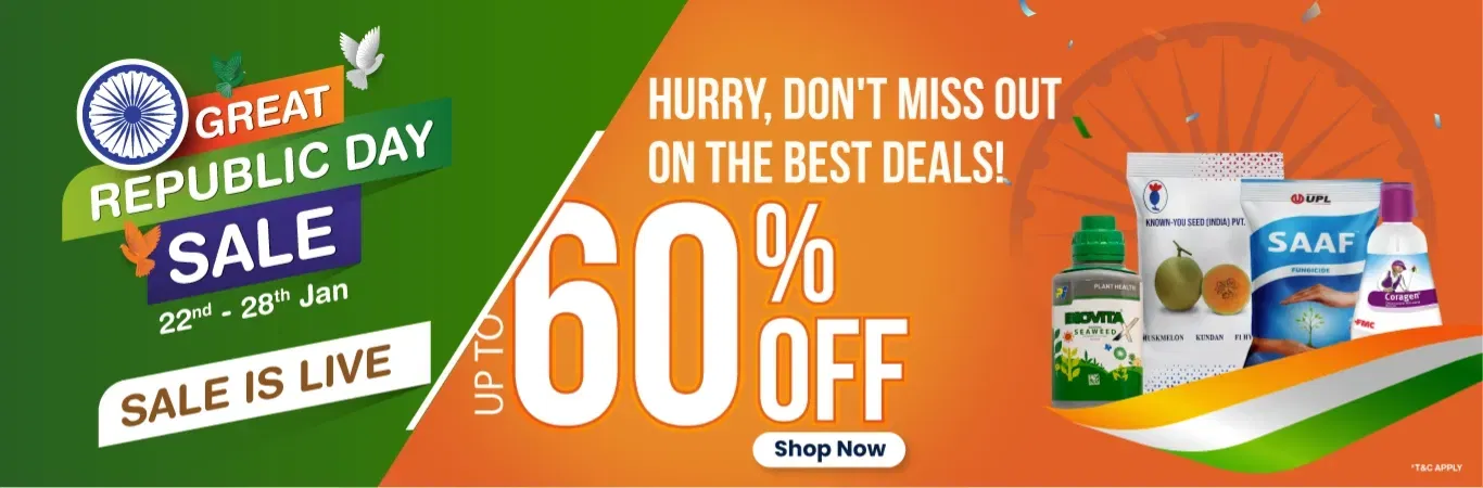 home Banners 0 Image 1