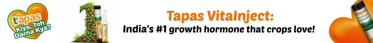 kvBlogDetailsStripBanner