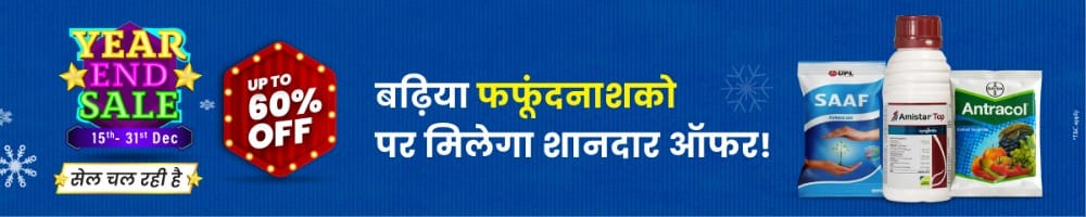 home Banners 0 Image 1