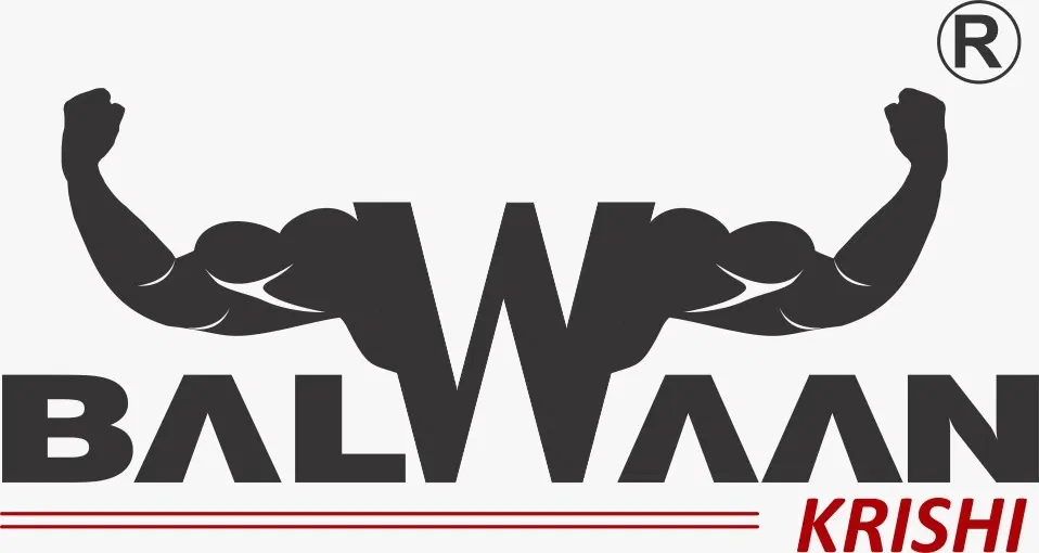 Balwaan Image