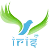 iris hybrid Image