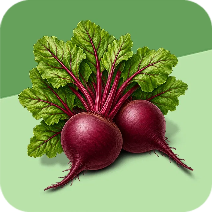 Beetroot Image