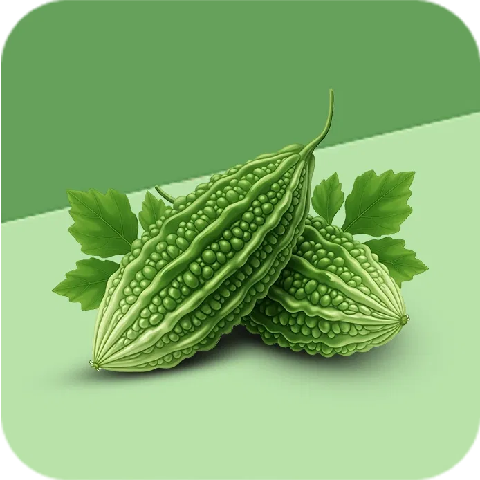 BitterGourd Image