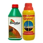 Brands