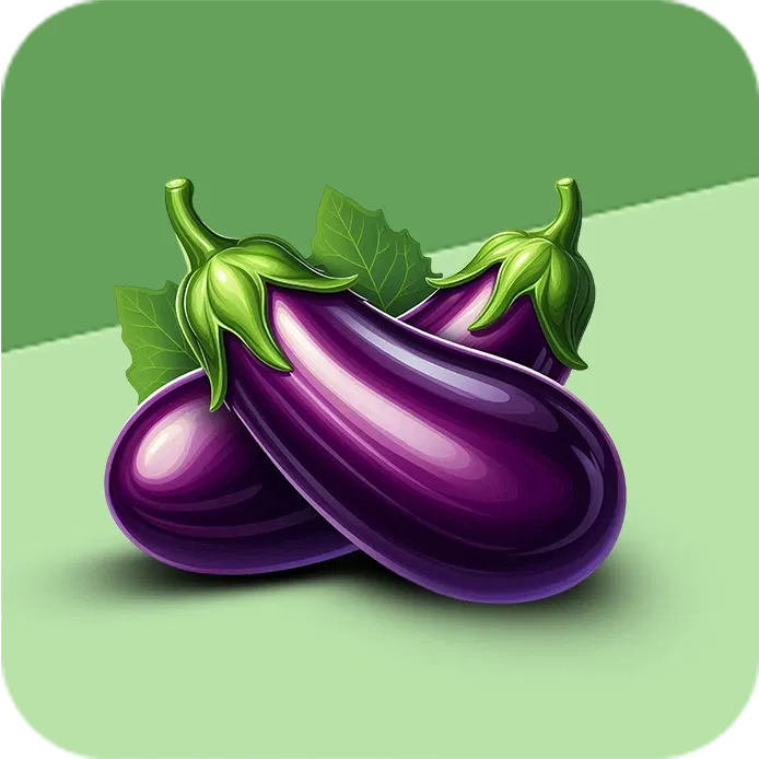 Brinjal Image