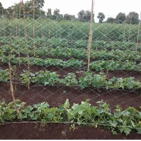 Crop Cover Image