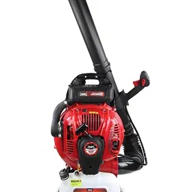Leaf Blower Image