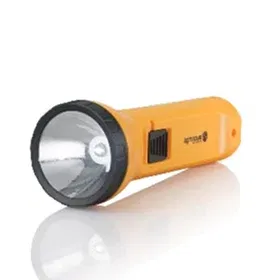 Torch Image