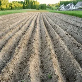 Pre Emergent Herbicides Image