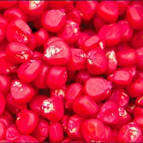 Seed Treatment Image