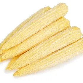 Babycorn Seeds Image