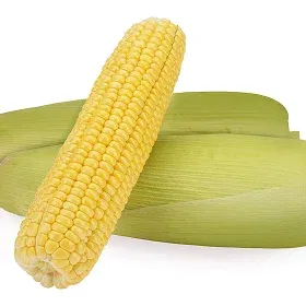 Sweetcorn Seeds Image