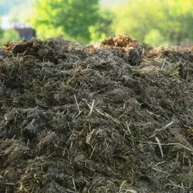 Compost Image
