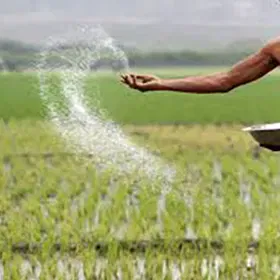 Fertilizers Image