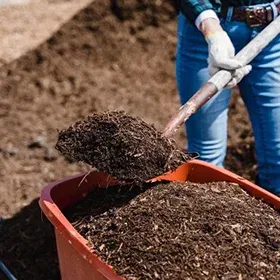 Compost Image