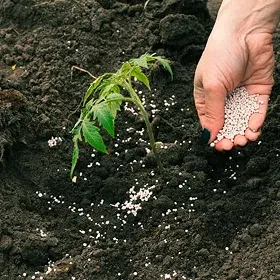 Fertilizers Image