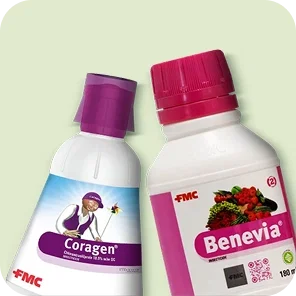 Insecticides Image